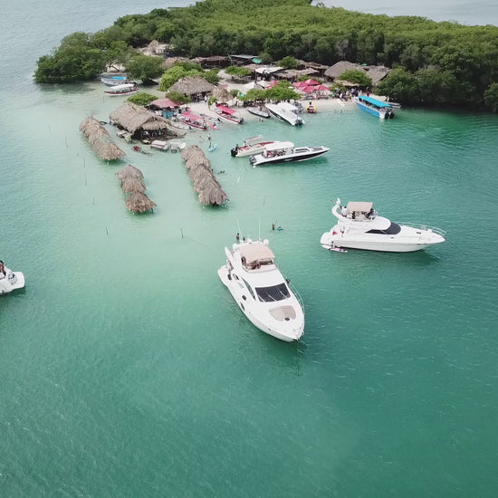 4279378-hd_1920_1080_30fps.mp4__PID:e5fccab6-8088-472f-b1e6-2ef6d8cf7cde