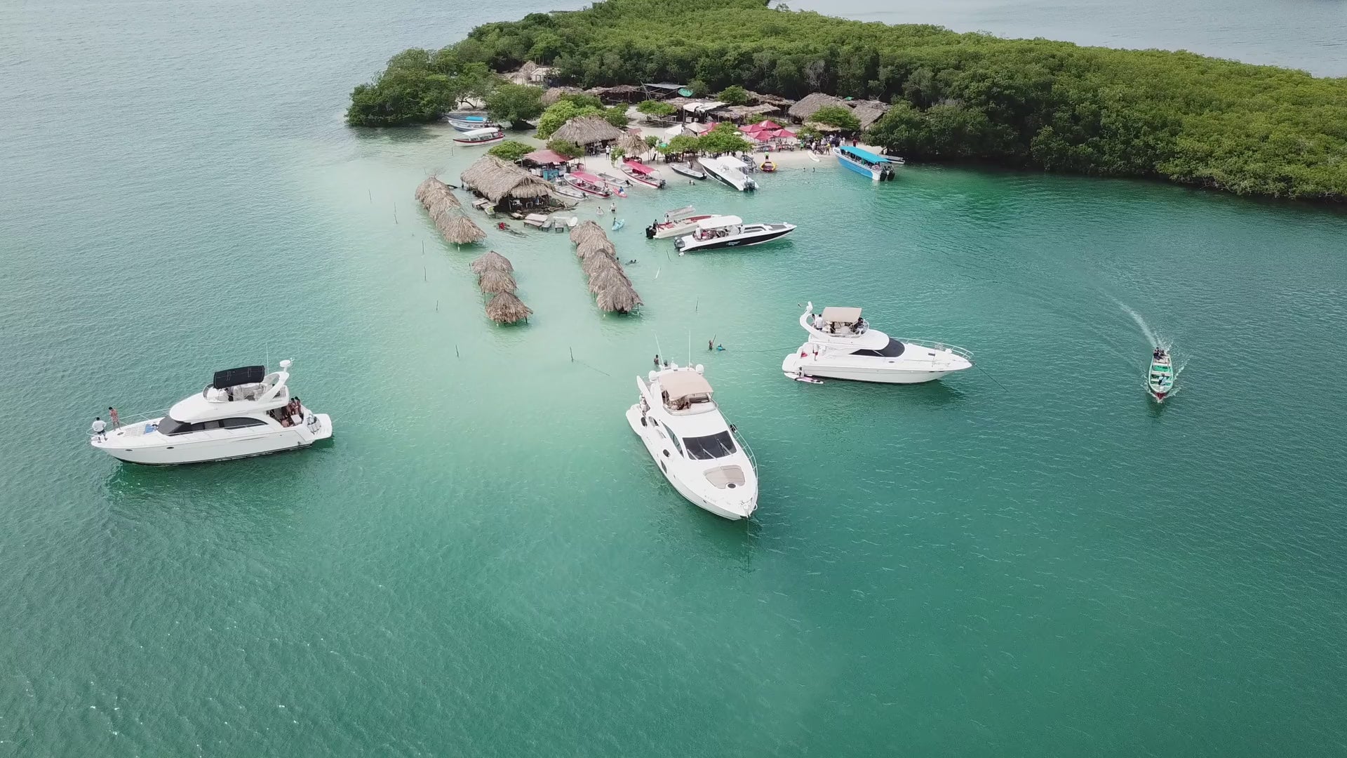 4279378-hd_1920_1080_30fps.mp4__PID:e5fccab6-8088-472f-b1e6-2ef6d8cf7cde